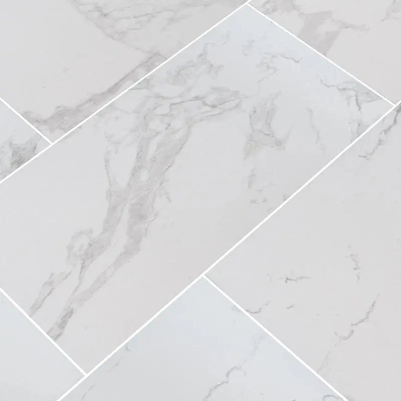 Praia 24" X 48" Polished Porcelain Floor & Wall Tile