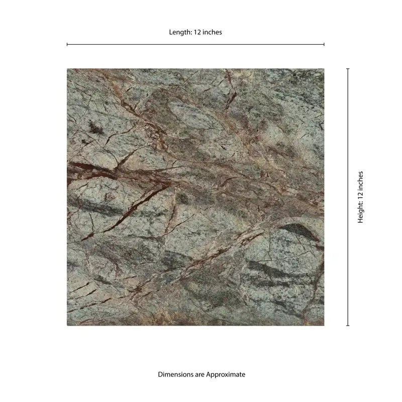 Rainforest 12" X 12" Marble Field Tile