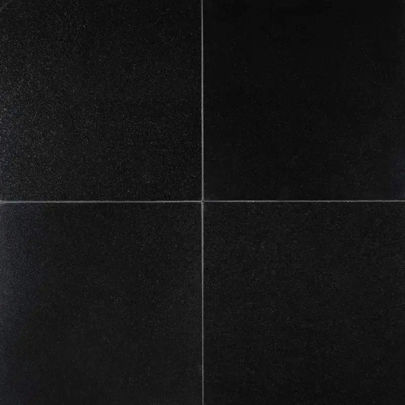 Premium 12" X 12" Granite Field Tile in Black