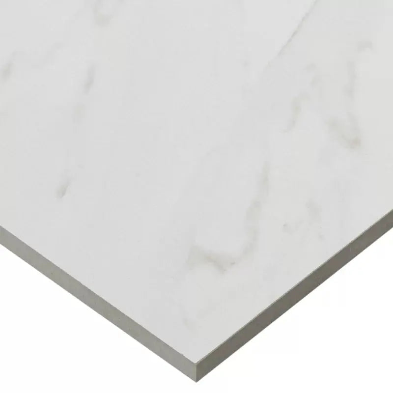 Florentine 12" X 12" Porcelain Field Tile