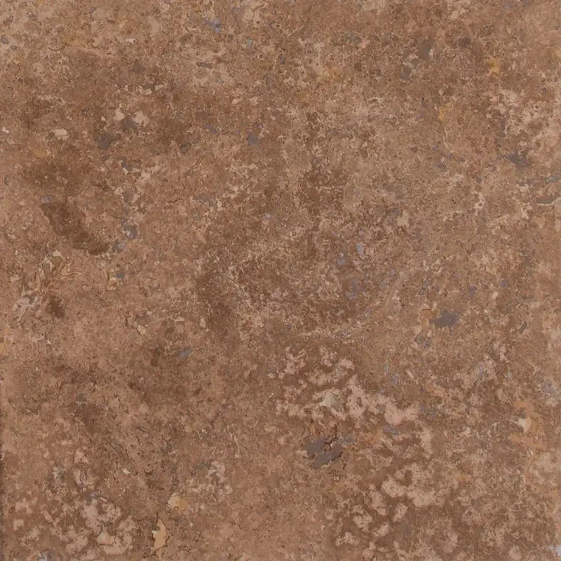 Tuscany Walnut 12" X 12" Singular Wall & Floor Tile