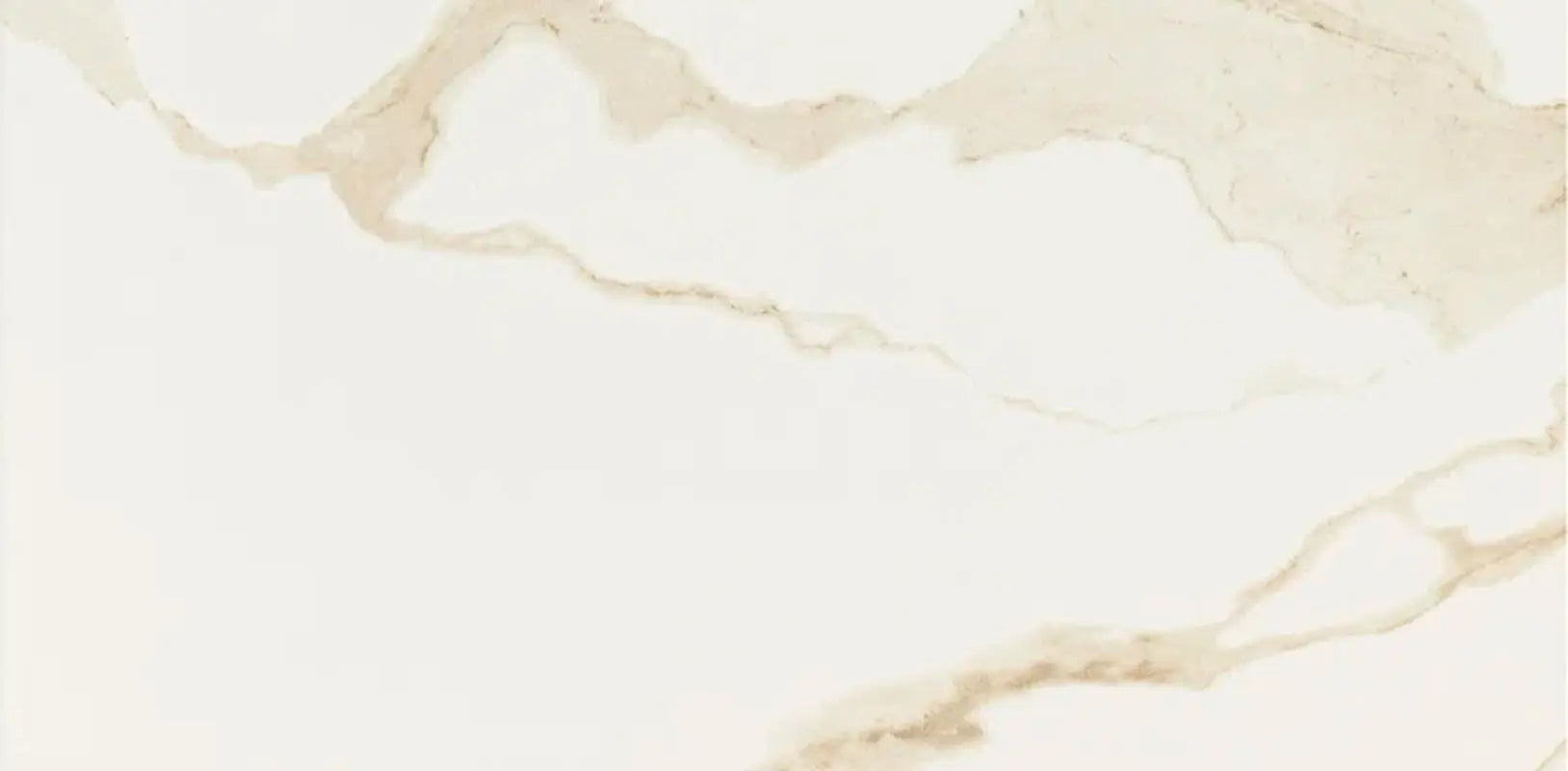 Eden Calacatta 12" X 24" Floor and Wall Tile