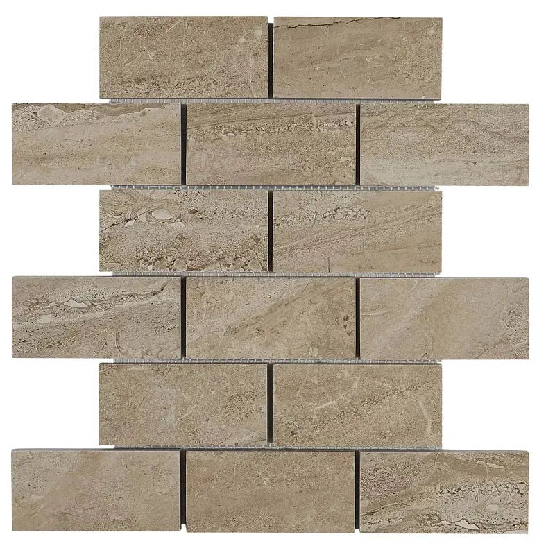 Florentine 2" X 4" Mosaic Tile in Nociolla