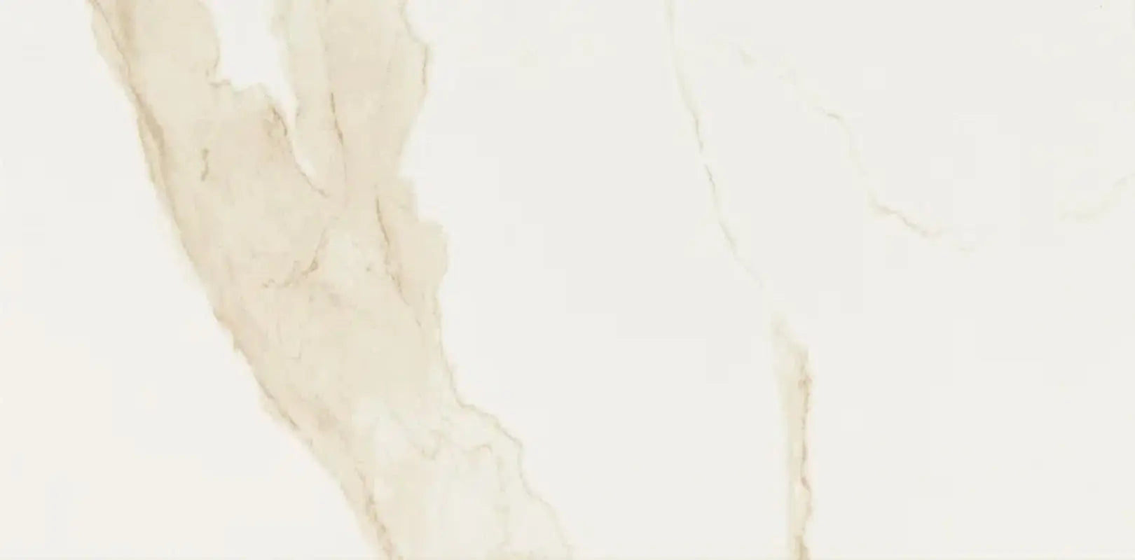 Eden Calacatta 12" X 24" Floor and Wall Tile
