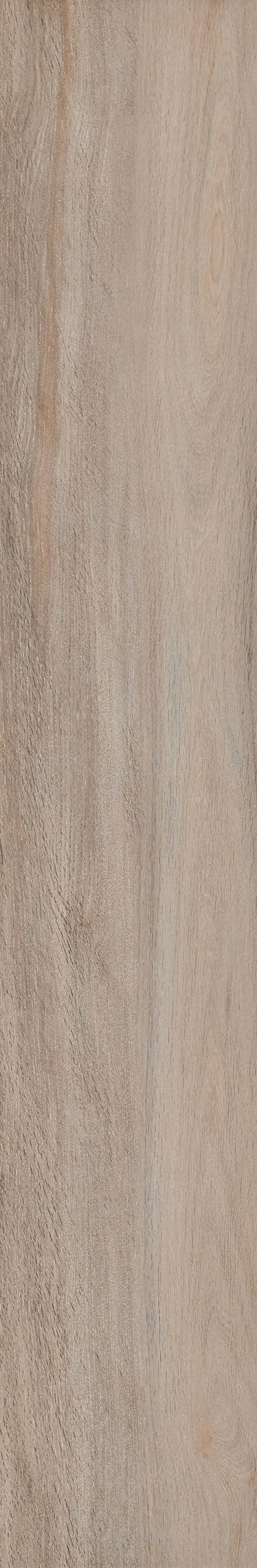 Architech Oak