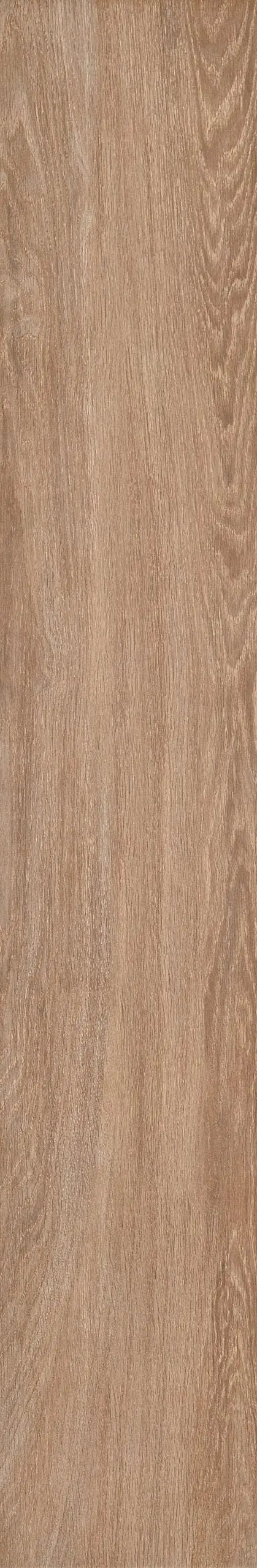 Architech Oak