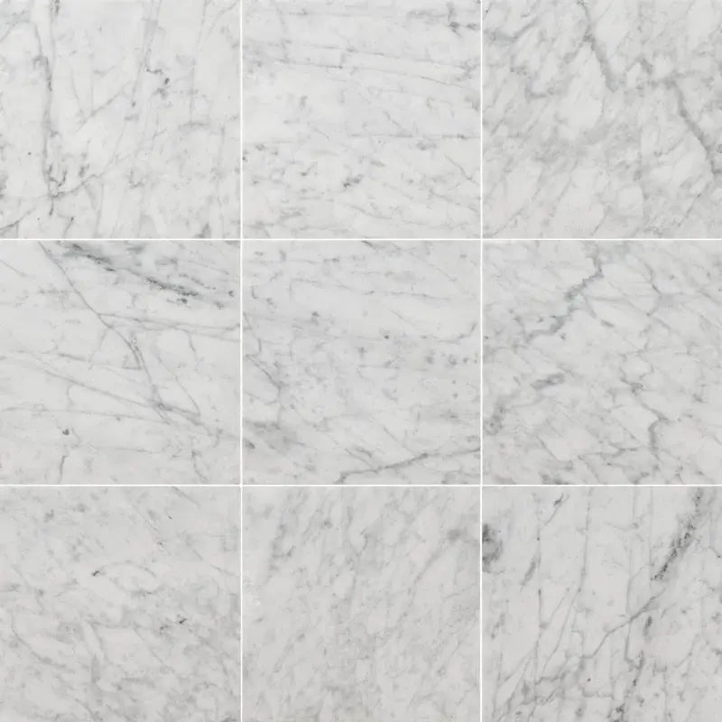 Carrara White 12"X12" Polished Marble Field Tile