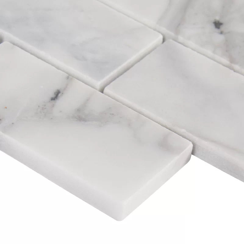 Calacatta Cressa 2" X 4" Honed Marble Wall & Floor Tile