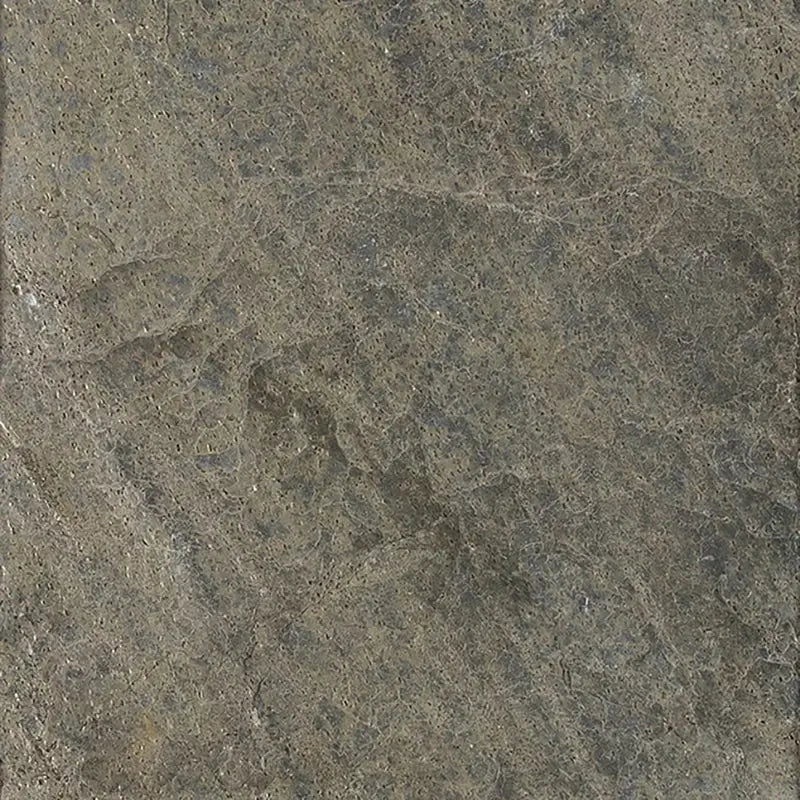 Ostrich Gray 12" X 12" Quartzite Wall & Floor Tile
