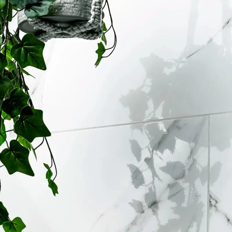 Dymo Statuary 12" X 24" Glossy Ceramic Wall Tile