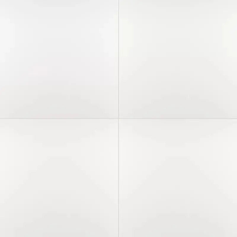 Domino White 24" X 24" Polished Porcelain Wall & Floor Tile