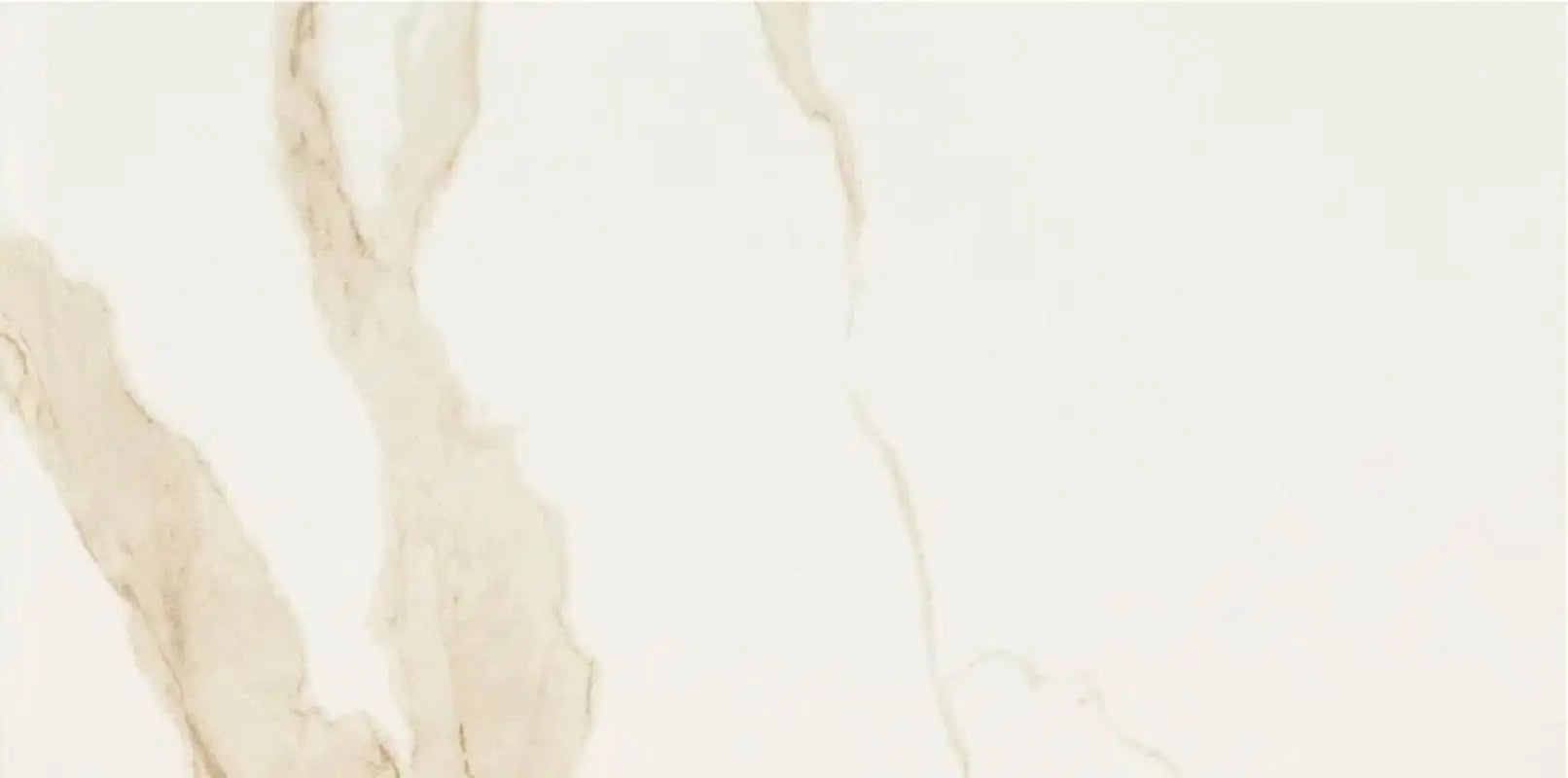 Eden Calacatta 12" X 24" Floor and Wall Tile