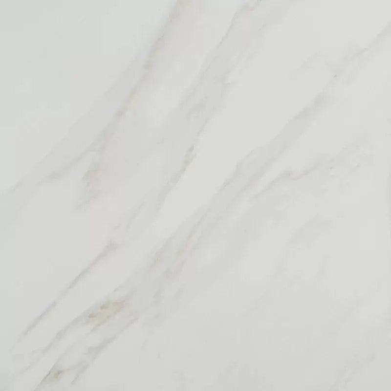 Florentine 12" X 12" Porcelain Field Tile