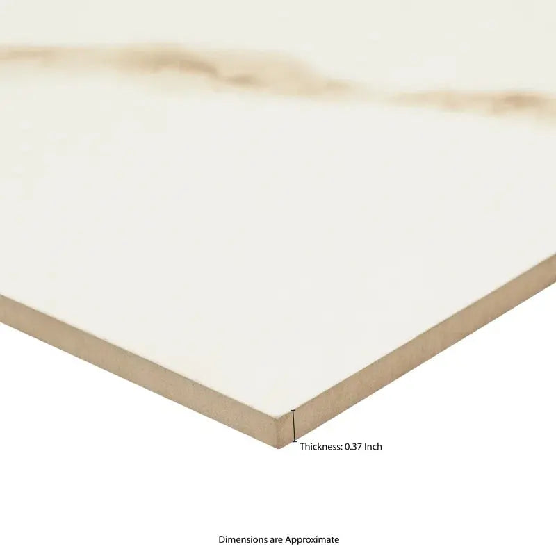 Eden Calacatta 12" X 24" Floor and Wall Tile