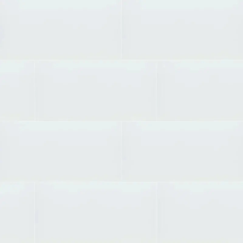 Dymo 12" X 24" Ceramic Polished Wall Tile