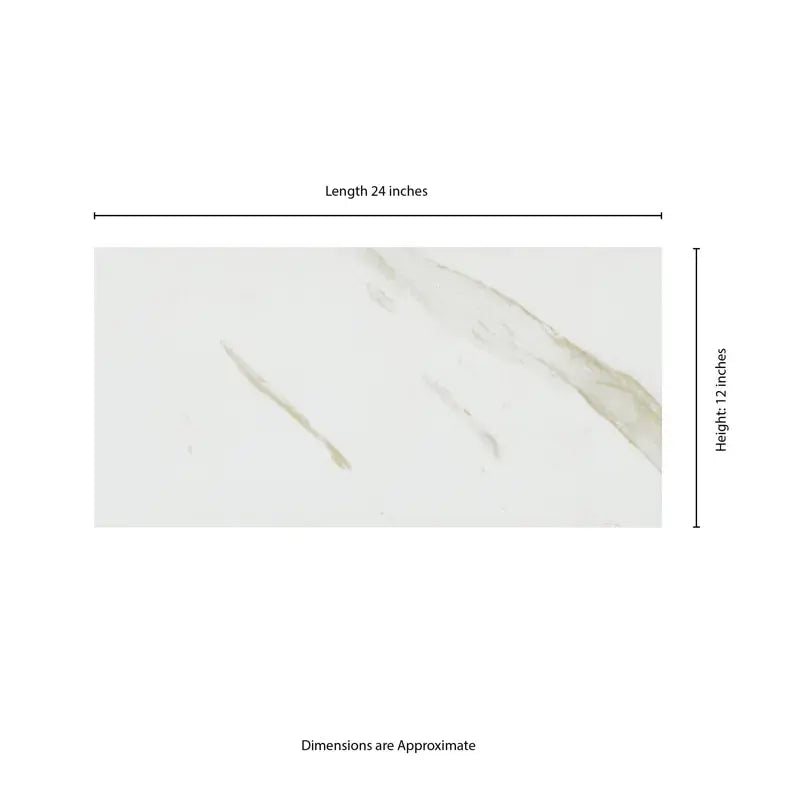Calacatta 12" X 24" Porcelain Field Tile