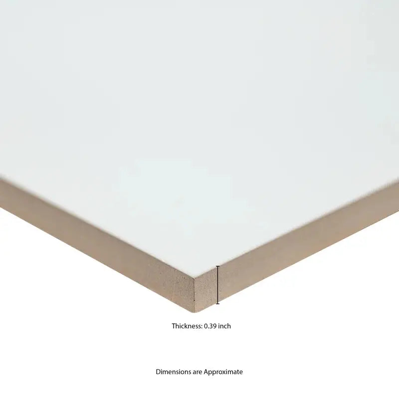 Dymo 12" X 24" Ceramic Polished Wall Tile